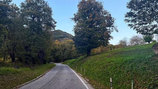 Cycling in Ticino during summer.
